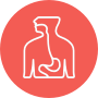 Gut health
