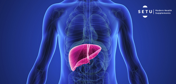 Nonalcoholic Fatty Liver - Top 5 Causes You Must Know