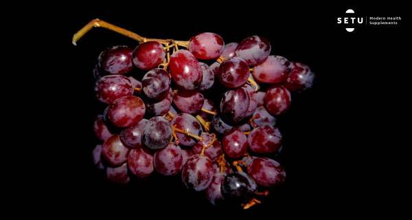 Grape Seed Extract – What’s all the hype about?